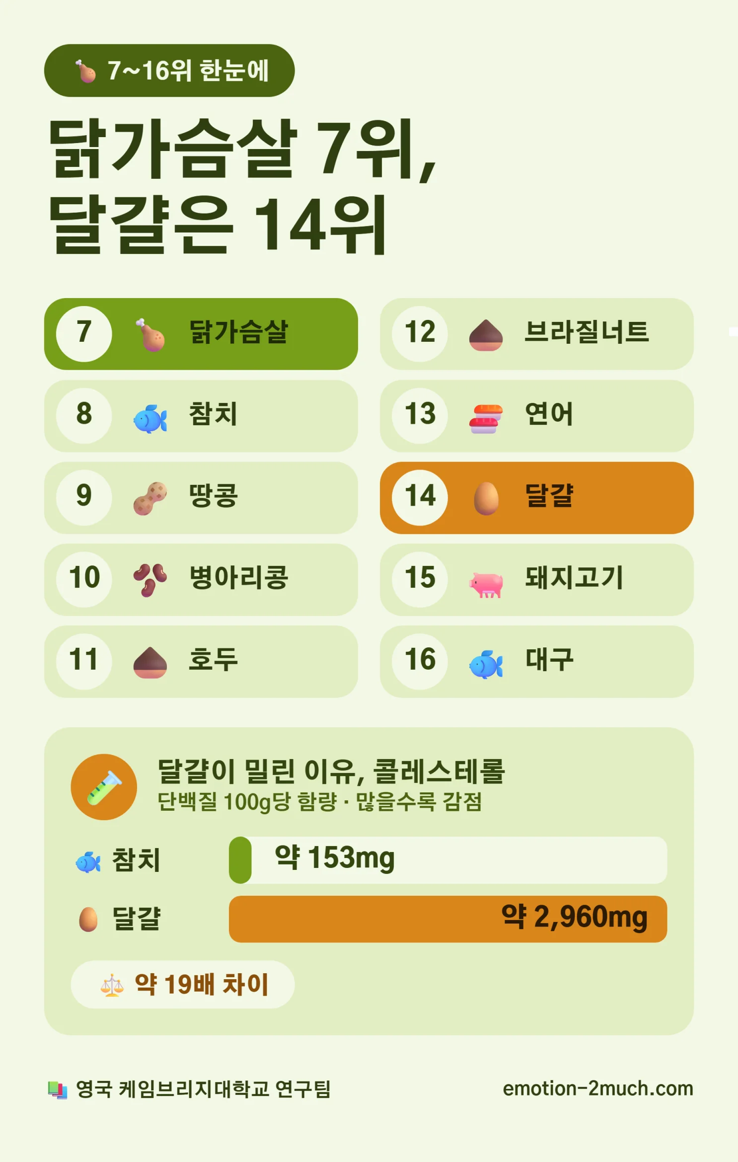 닭가슴살 7위와 달걀 14위 순위, 콜레스테롤 함량 비교 인포그래픽