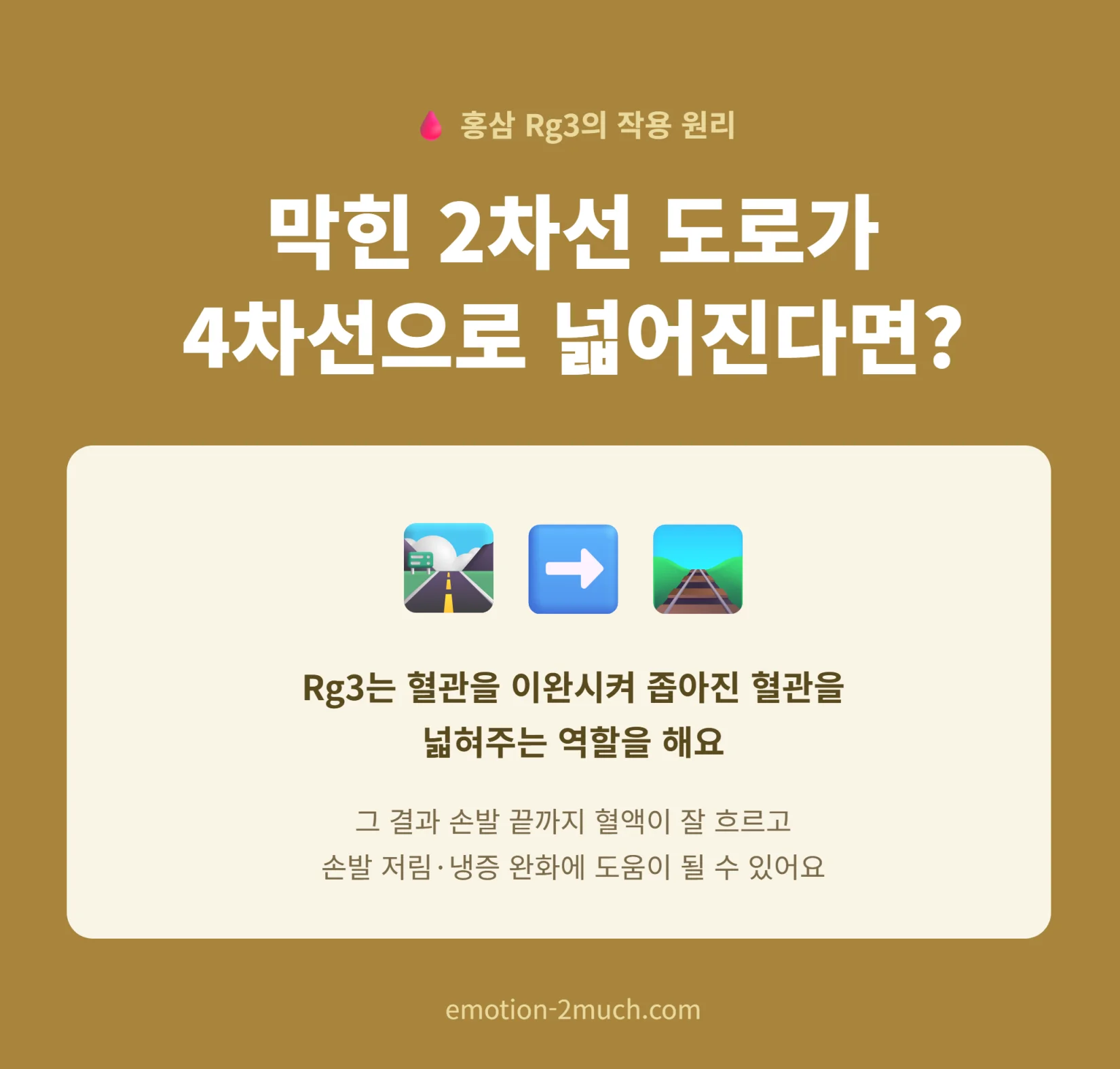홍삼 Rg3의 혈관 확장 작용 원리