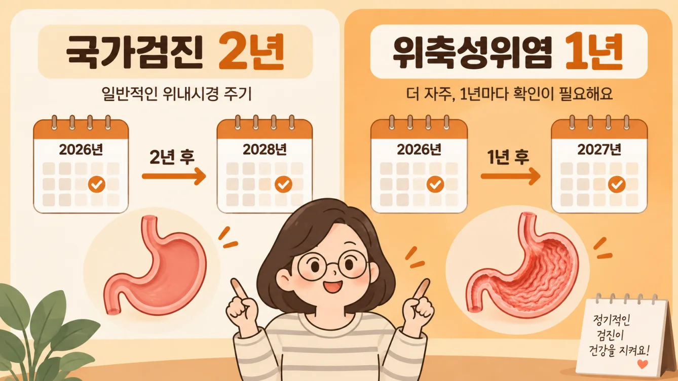 국가검진 2년 vs 위축성위염 1년 주기를 비교하는 타임라인 일러스트
