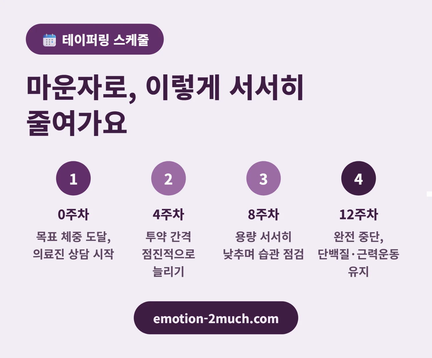 마운자로 테이퍼링 단계별 감량 스케줄 인포그래픽