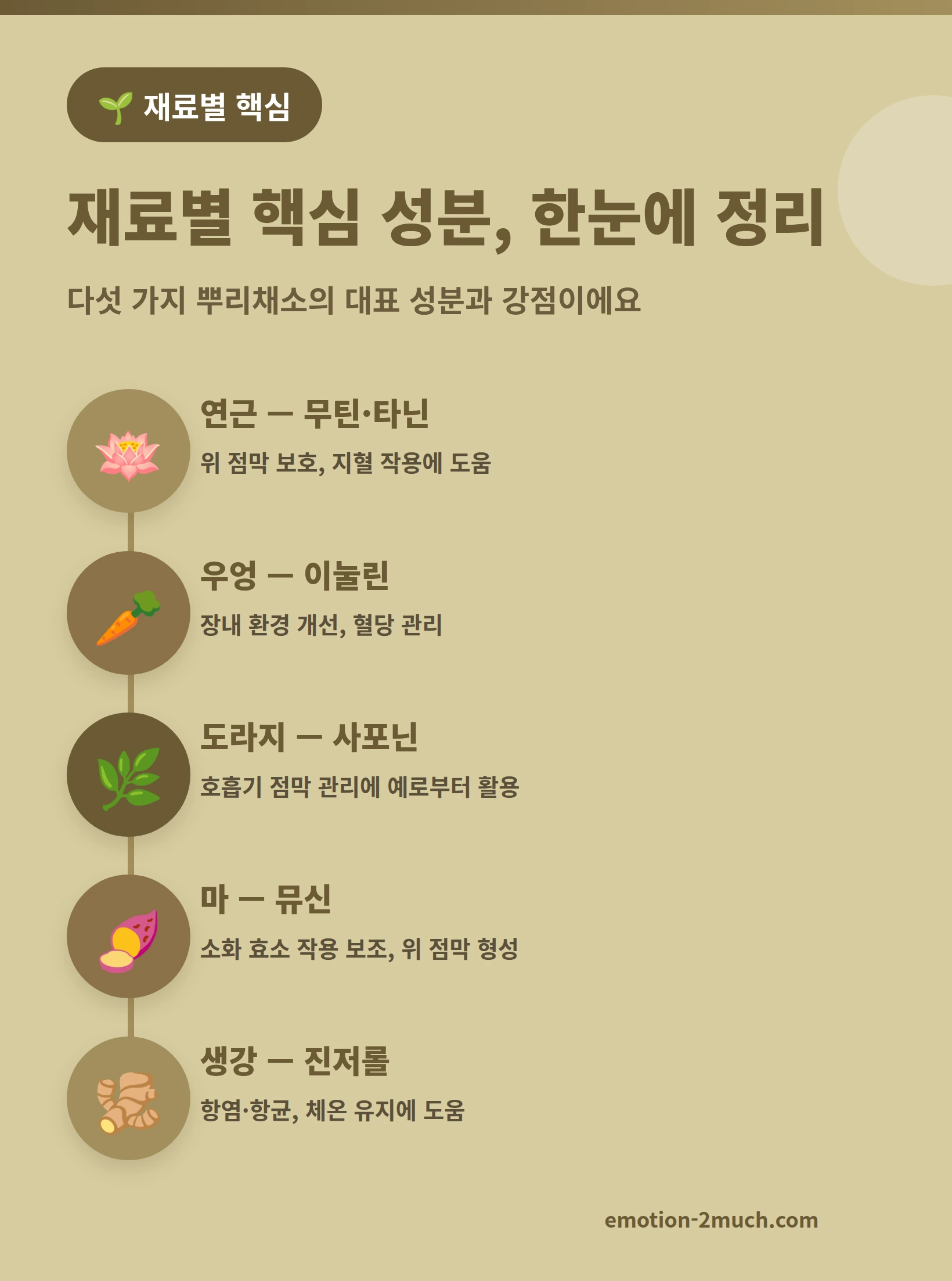 재료별 핵심 성분과 효능을 정리한 인포그래픽