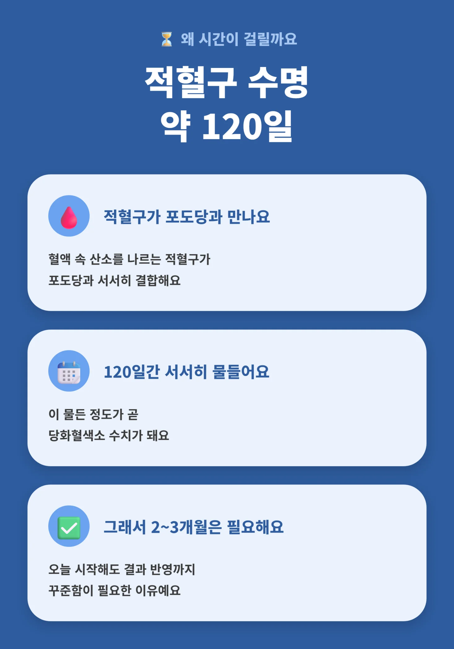 적혈구 수명 120일과 당화혈색소 변화 시점을 표현한 타임라인 인포그래픽