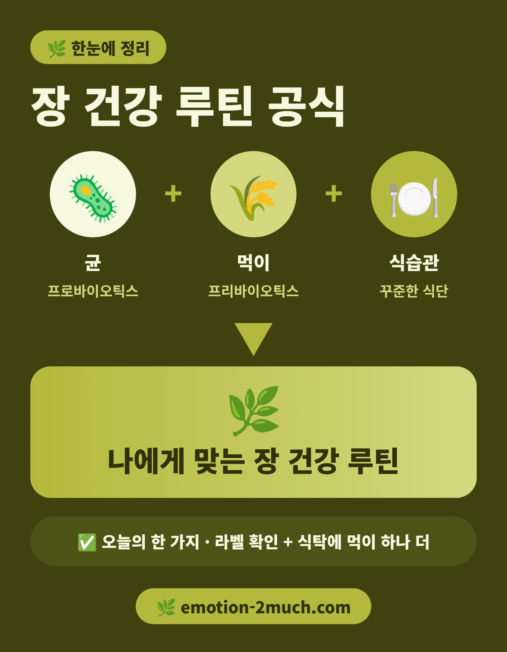 프로바이오틱스와 프리바이오틱스에 식습관을 더한 장 건강 공식 인포그래픽
