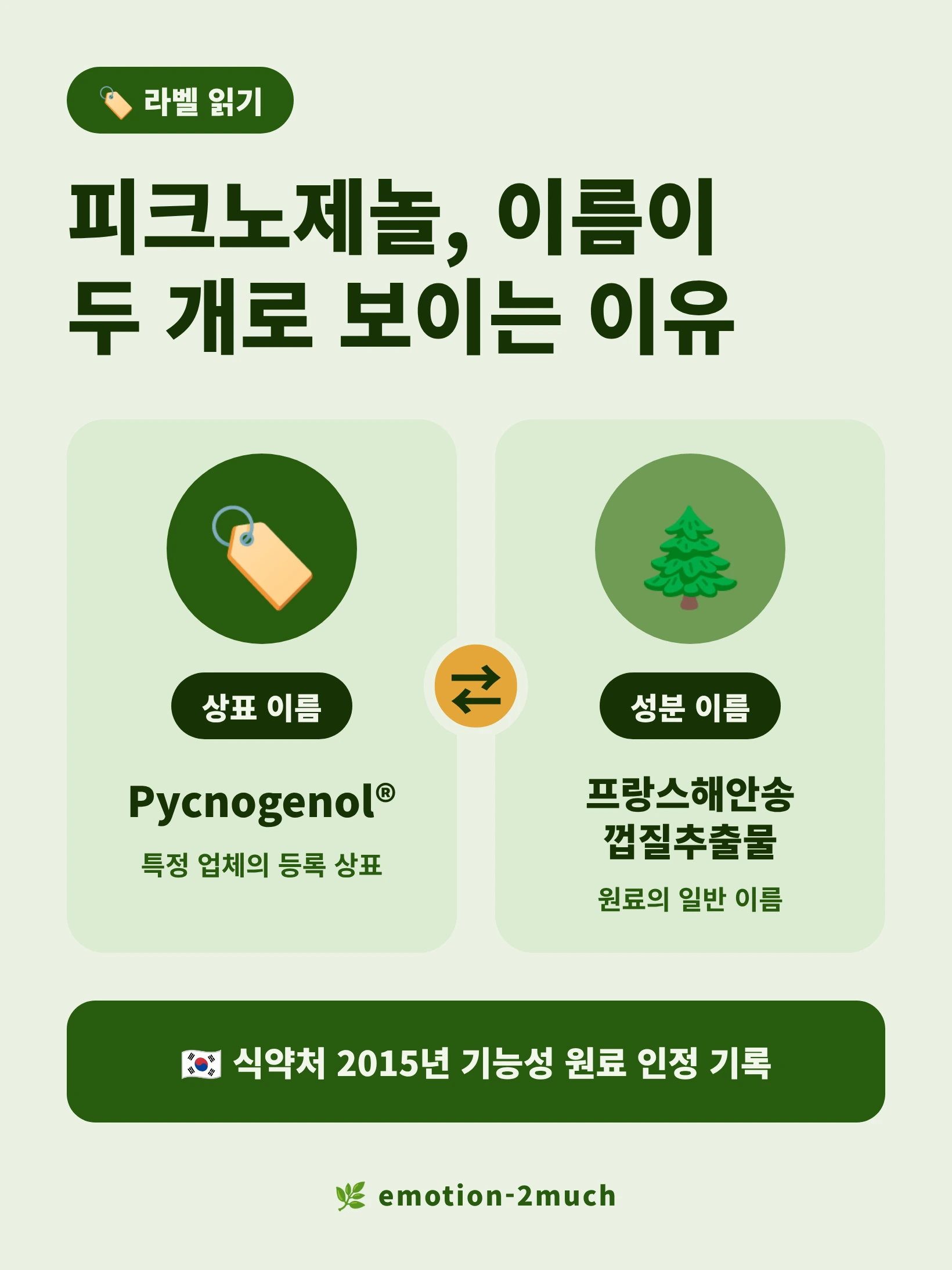 피크노제놀 상표명과 성분명 차이를 정리한 인포그래픽