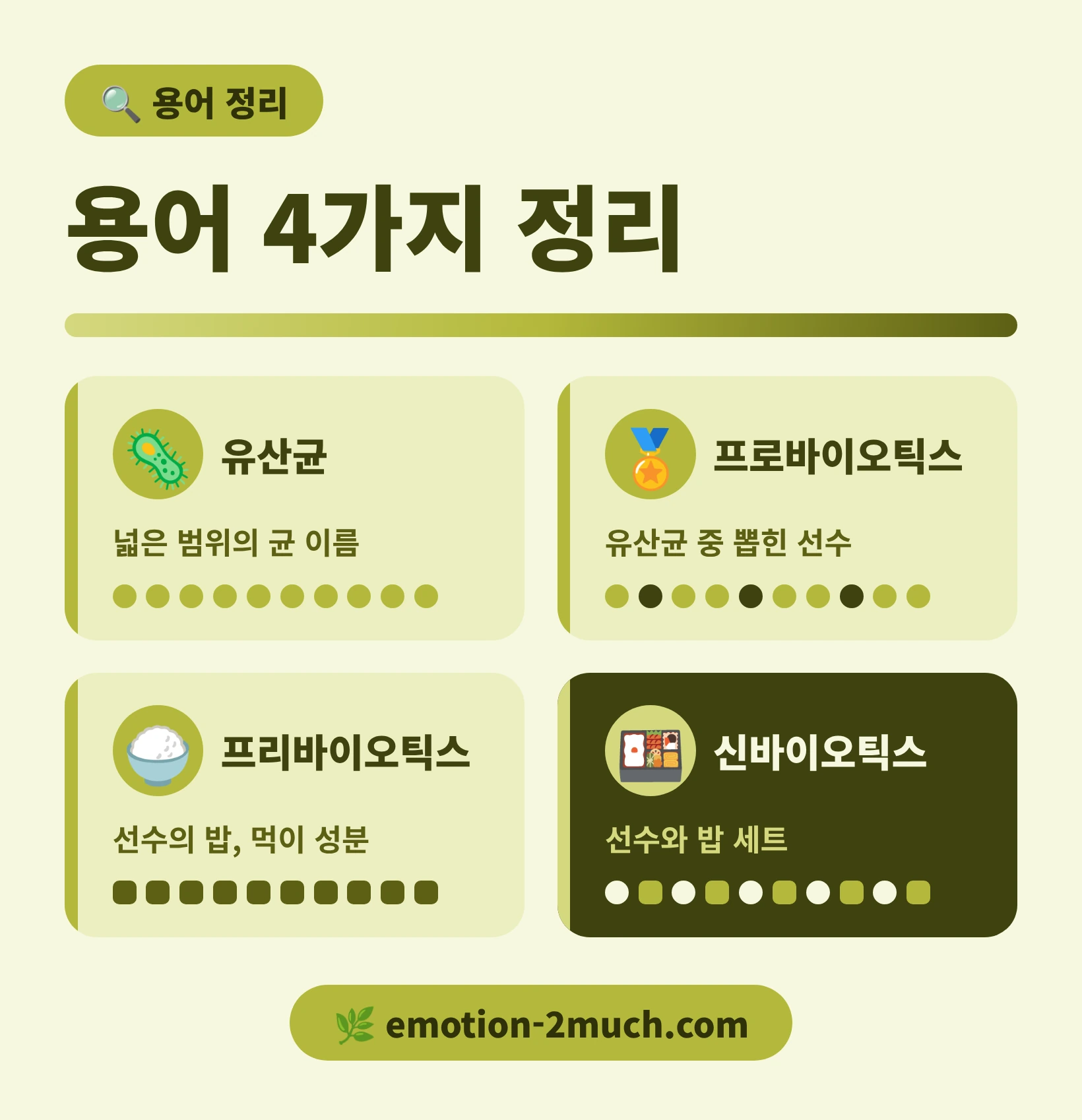 프로바이오틱스 프리바이오틱스 차이를 선수와 밥으로 비유한 인포그래픽