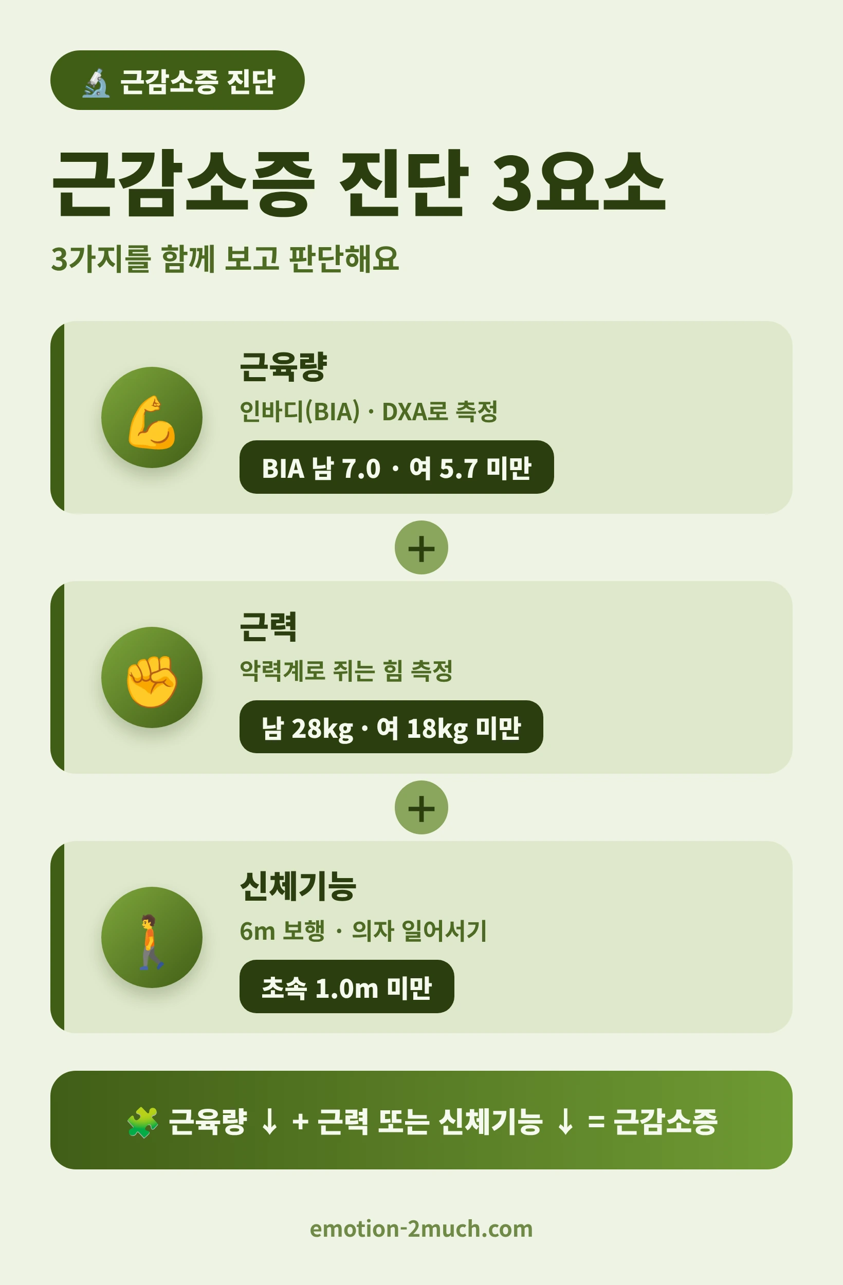 근감소증 진단 3요소 근육량·근력·신체기능을 정리한 인포그래픽