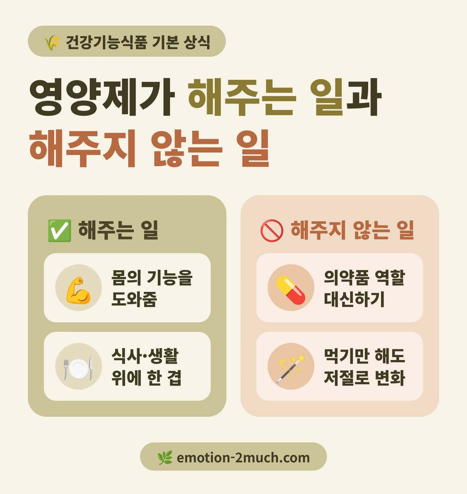건강기능식품이 해주는 일과 해주지 않는 일을 비교한 인포그래픽