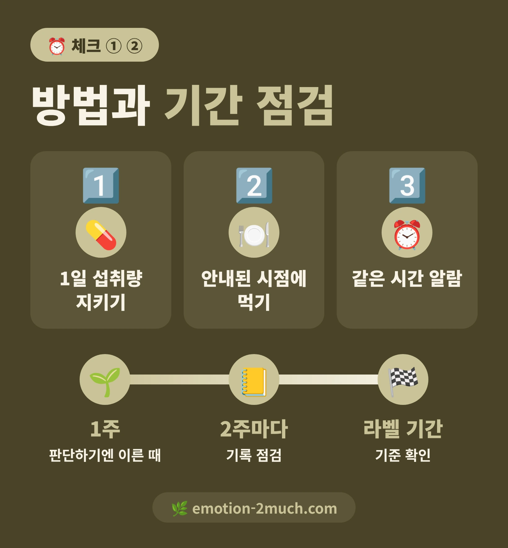 섭취 방법과 기간을 점검하는 단계별 인포그래픽