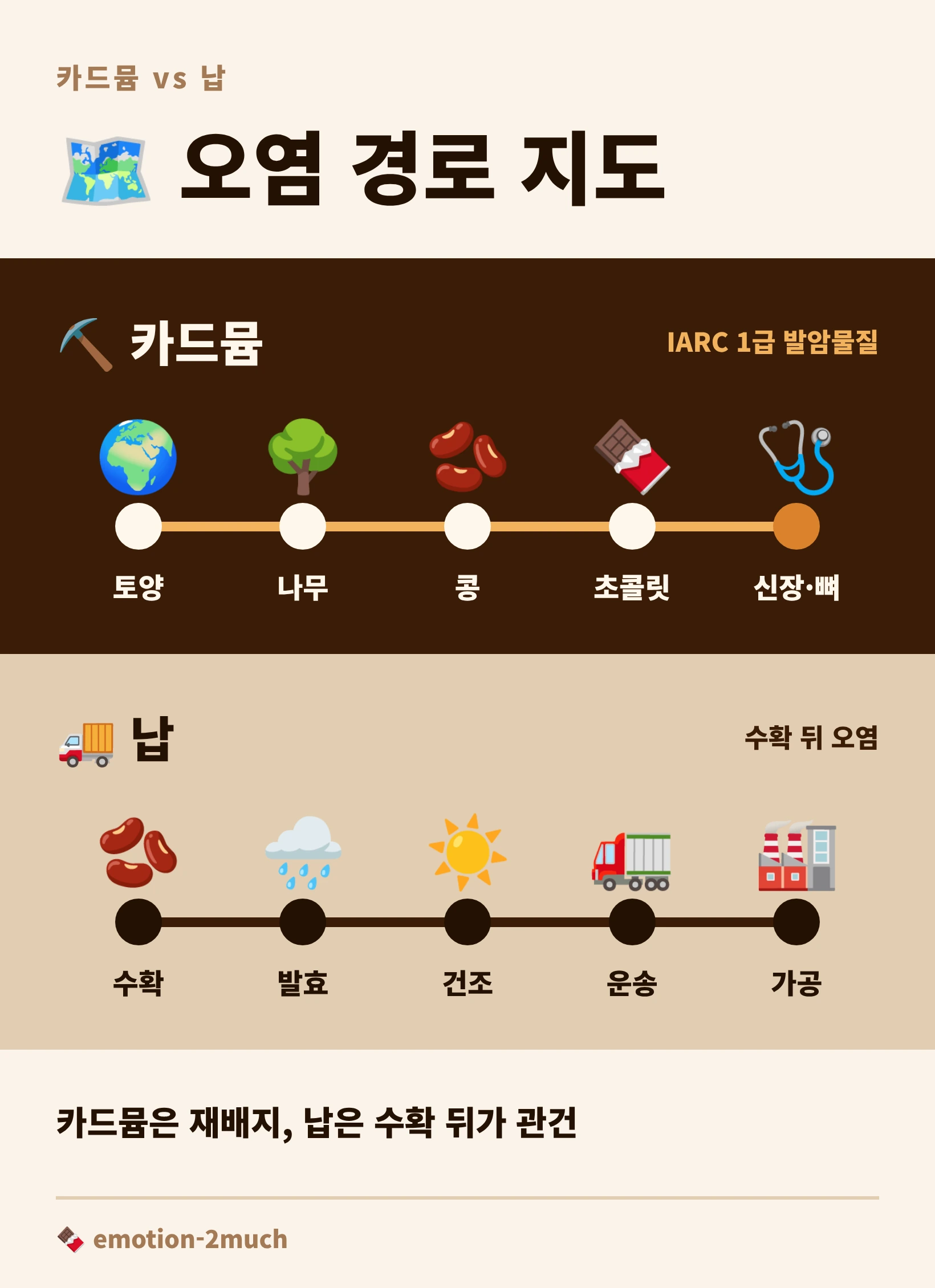 카드뮴과 납이 카카오 콩에 들어오는 경로를 비교한 인포그래픽