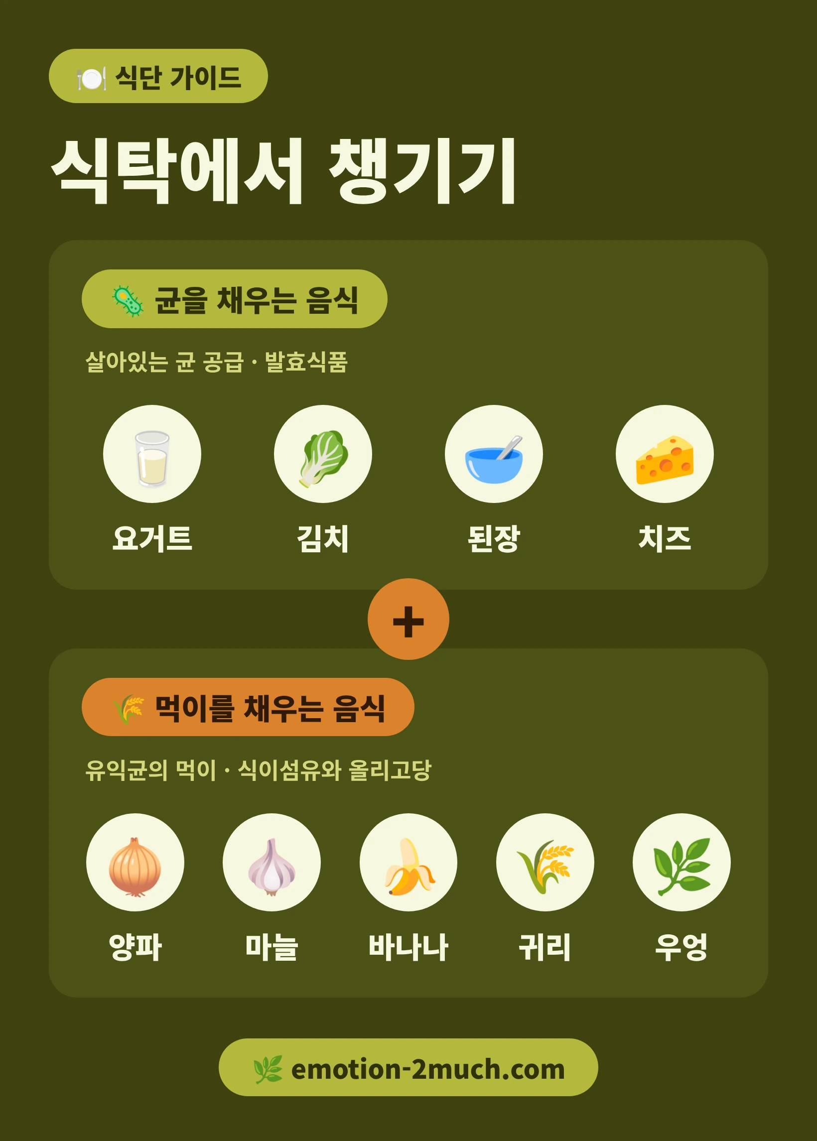 프로바이오틱스 음식과 프리바이오틱스 음식을 정리한 인포그래픽