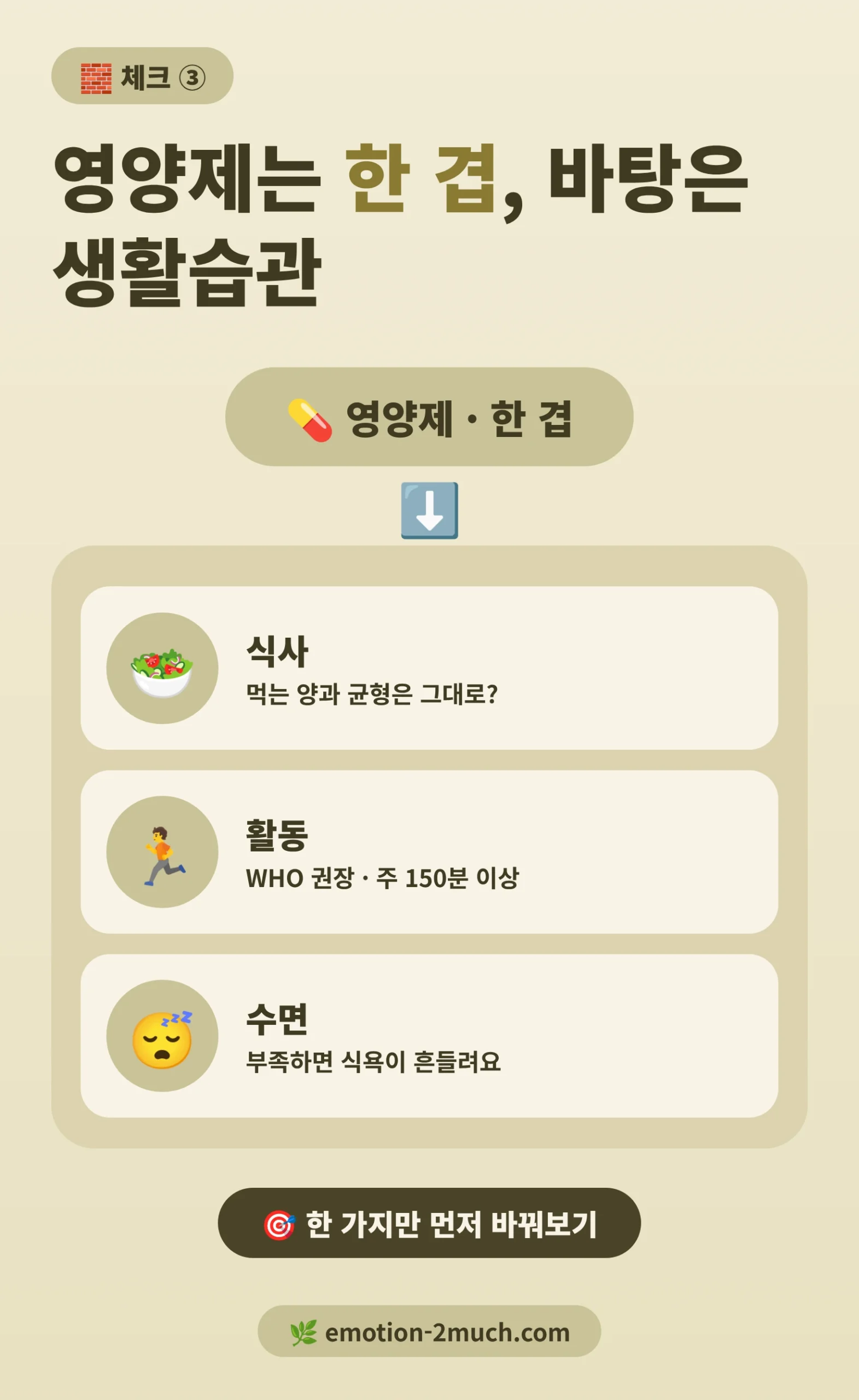 식사 활동 수면 위에 영양제 한 겹을 얹는 구조를 보여주는 인포그래픽