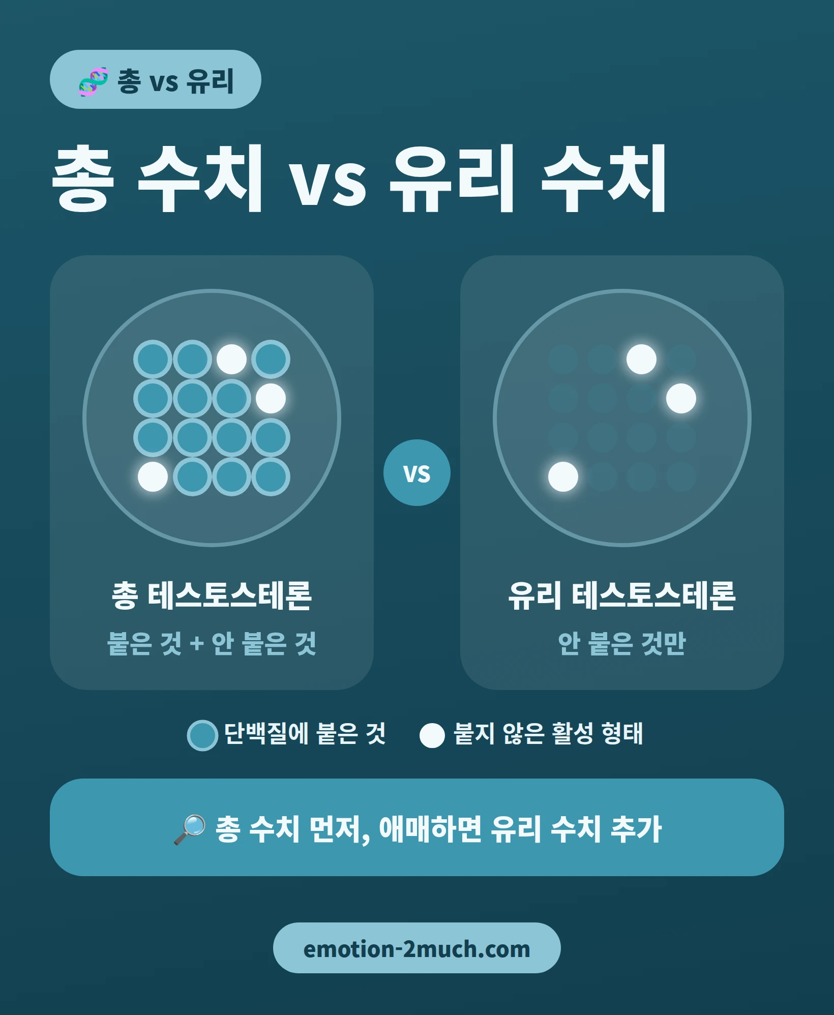 총 테스토스테론과 유리 테스토스테론의 차이를 비교한 인포그래픽