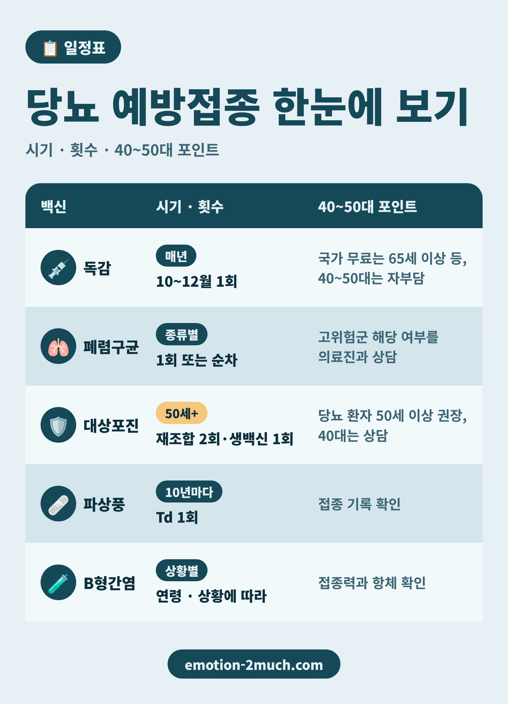 독감, 폐렴구균, 대상포진, 파상풍, B형간염의 접종 시기와 40~50대 포인트를 정리한 일정표 인포그래픽